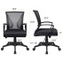 Office Chair with Armrests Lumbar Support Ergonomic Adjustable Rolling Swivel Computer Task Back Mesh Desk Comfortable Executive