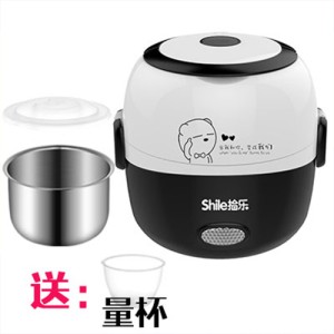 Electric lunch box heat preservation multifunctional double-layer heating rice cooker small stainless steel with lunch box