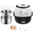 Electric lunch box heat preservation multifunctional double-layer heating rice cooker small stainless steel with lunch box